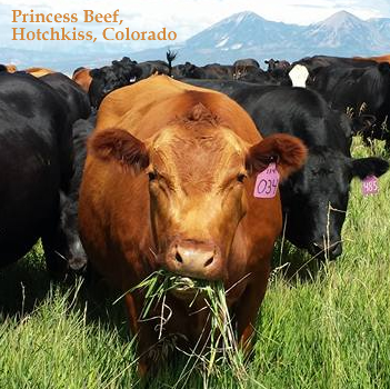 Holy Cow! - Striking Tallow Balm Stories Holy Cow! - Striking Tallow Balm Stories