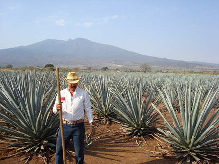 Blue agave farmer in Tequila, Mexico. Photo by Vintage Tradition Blue agave farmer in Tequila, Mexico. Photo by Vintage Tradition
