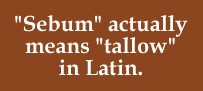 "Sebum" actually means "tallow" in Latin.